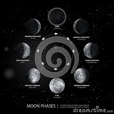 Movements of the Moon Phases Realistic Vector Illustration