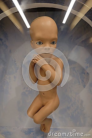 Movie prop fetus Star Child used in 2001 A Space Odyssey movie Editorial Stock Photo