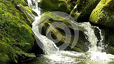 Cascada Sobre Fondo Negro Que Fluye Cerca Del Agua Almacen De Video - Vídeo de ambiente, cascada: 188994557 Cascada Sobre Fondo Negro Que Fluye Cerca Del Agua Almacen De Video - Vídeo de ambiente, cascada: 188994557
