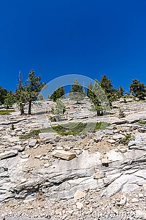 Moving Mountains Rocks and Trees Stock Photo