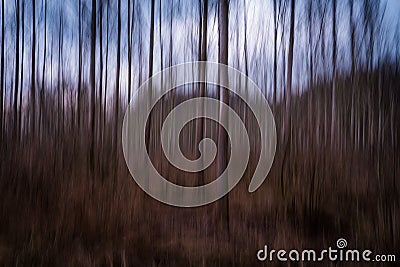 The moving trees are very fast and colorful Stock Photo