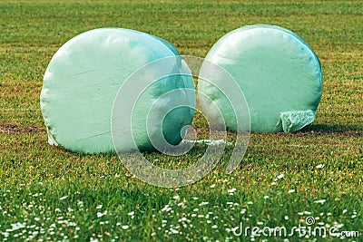 Mowed meadow grass rolled in bales and wrapped into plastic film sheet Stock Photo