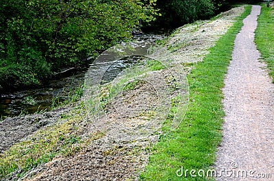 Mowing the grass along the water flow of the stream by the path of gravel gray dry cut grass on the slope above the stream Stock Photo