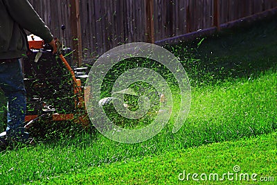 Mowing Lawn Stock Photo