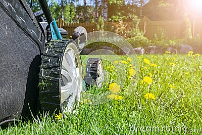 Mowing lawns. Lawn mower on green grass. Mower grass equipment. Mowing gardener care work tool. Close up view. Sunny day. Soft lig Stock Photo