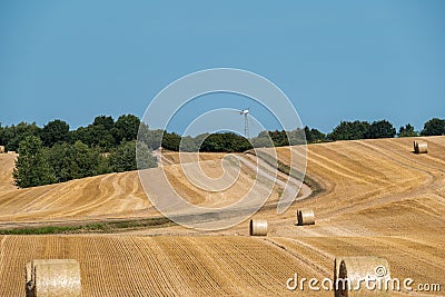 Mown cornfield with big round hay bales - wind turbine in the background Stock Photo