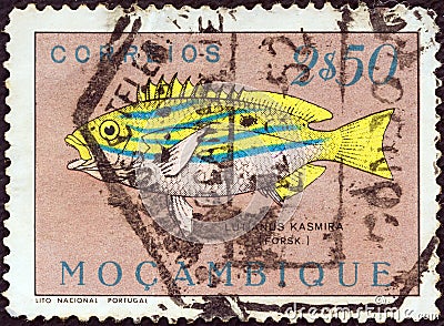 MOZAMBIQUE - CIRCA 1951: A stamp printed in Mozambique shows bluestripe snapper Lutjanus kasmira, circa 1951. Editorial Stock Photo