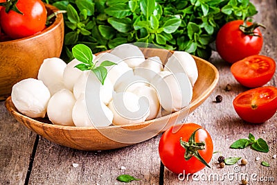 Mozzarella, organic cherry tomatoes and fresh basil Stock Photo