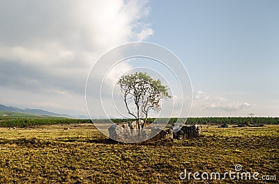 Mpumalanga region near Graskop. Blyde river canyon, South Africa Stock Photo