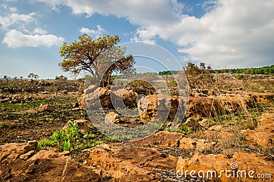 Mpumalanga region near Graskop. Blyde river canyon, South Africa Stock Photo