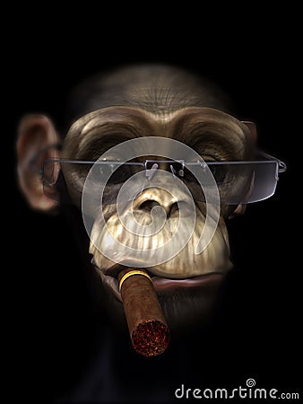 Mr Chimp the pimp Stock Photo