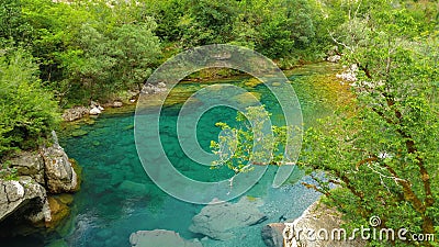 Mrtvica tranquil river Canyon Montenegro Wild Beauty. Nature lan Stock Photo