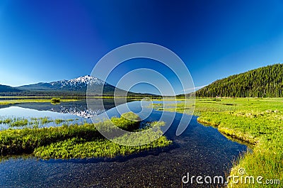 Mt. Bachelor Reflection and Forest Stock Photo