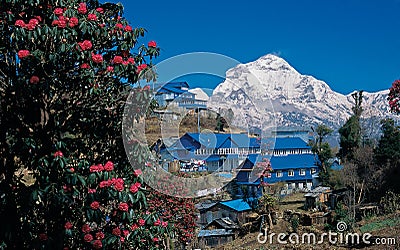 Mt. Dhaulagiri, Ghorepani Stock Photo