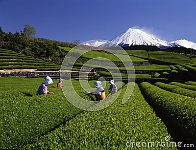 Mt,fuji-165 Stock Photo