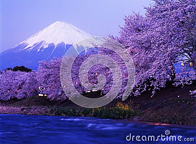 Mt fuji-233 Stock Photo