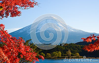 Mt.Fuji in autumn Stock Photo