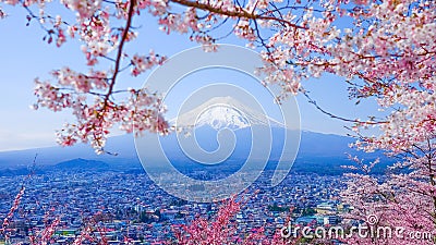 Mt. Fuji With Cherry Blossom (Sakura )in Spring, Fujiyoshida, Japan Stock Photo