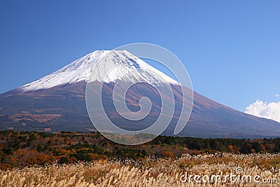 Mt. Fuji with Japanese silver grass Stock Photo