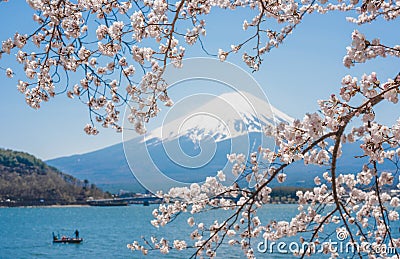 kawaguchiko lake of Japan,Mount Fuji Cherry blossoms or Sakura Stock Photo