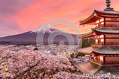 Mt. Fuji and Pagoda in Spring Stock Photo
