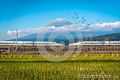 Mt. Fuji with Shinkansen train and rice field at Shizuoka, Japan Stock Photo