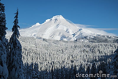 Mt. Hood, winter, Oregon Stock Photo