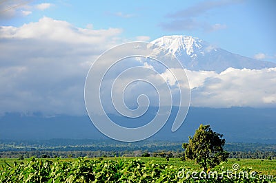 Mt Kilimanjaro - Moshi Stock Photo