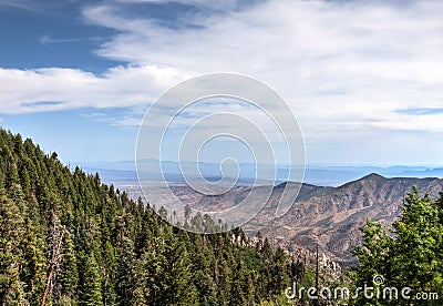 Mt. Lemmon area, near Tucson, Arizona. Coronado National Forest Stock Photo