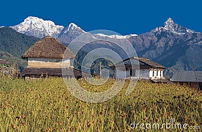 Mt. Machhapuchhre/Fishtail, Annapurna South & Hiunchuli, Dhampus Village, Nepal Stock Photo