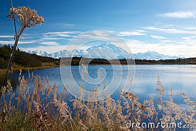 Mt. McKinley from Reflection pond Stock Photo