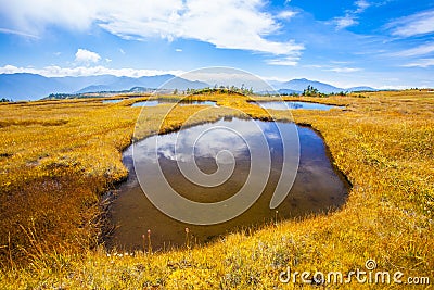 Mt. Naeba summit Marshland Stock Photo