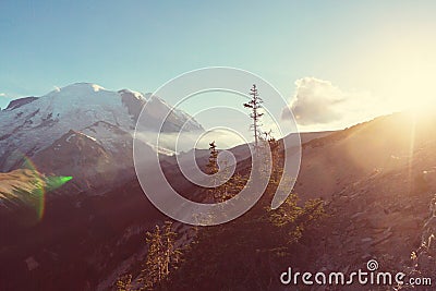 Mt.Rainier Stock Photo