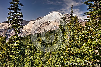 This is Mt. Rainier National Park in Washington. Stock Photo