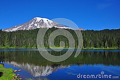 Mt Rainier Reflection Stock Photo