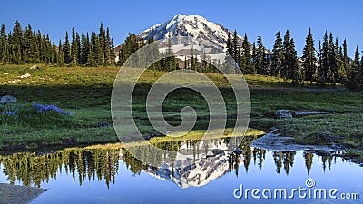 Mt. Rainier reflection in Spray Park Stock Photo