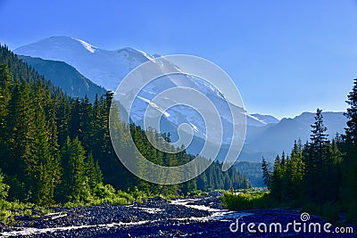 Mt. Rainier/ Tahoma from White River, Emmons Moraine Trail, Mt. Rainier National Park, Washington Stock Photo