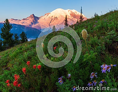 Mt. Rainier, Washington State Stock Photo