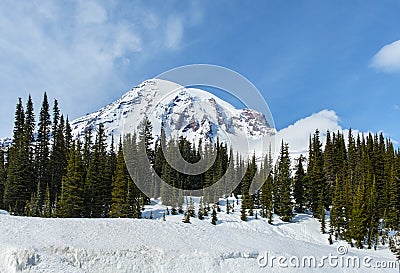 Mt Rainier in Winter Stock Photo