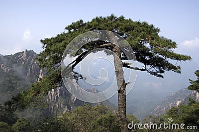Mount Sanqing, Sanqingshan, Jiangxi China Stock Photo