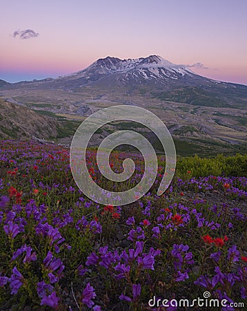 Mt St Helens at Sunset Stock Photo