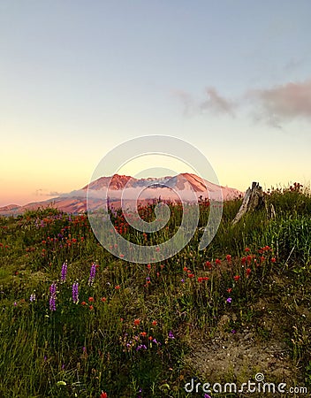 Mt. St. Helens sunset Stock Photo