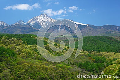 Mt. Yatsugatake of fresh green Stock Photo