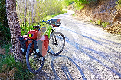 MTB Bicycle touring bike in a pine forest Stock Photo