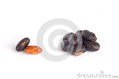 Mucuna pruriens isolated Stock Photo