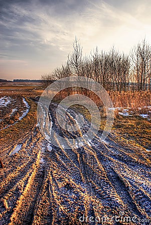 Mud Stock Photo