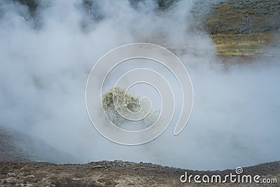 Mud geyser erupting at Yellowstone Stock Photo