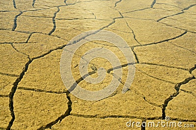 Mud Texture Stock Photo