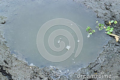 Mud texture or wet black soil as natural organic clay Stock Photo