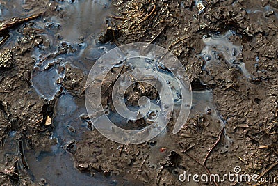 Mud texture or wet brown soil as natural organic clay and geological sediment mixture as in roughing it in a dirty country road. Stock Photo